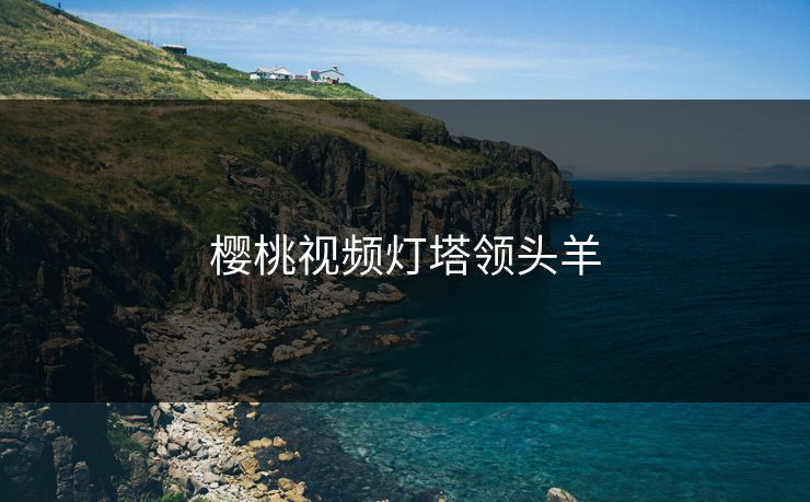 樱桃视频灯塔领头羊